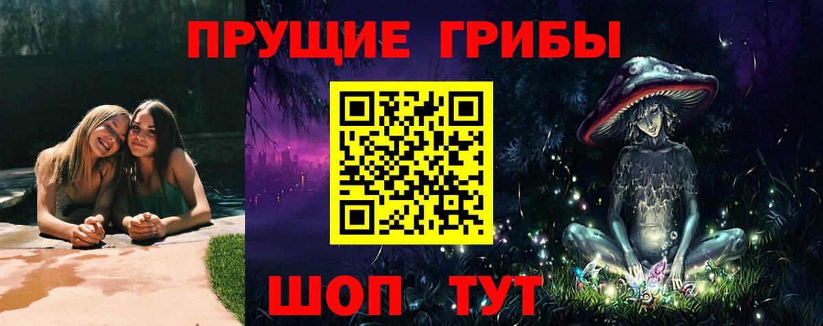 Псилоцибиновые грибы Psilocybine cubensis Славгород