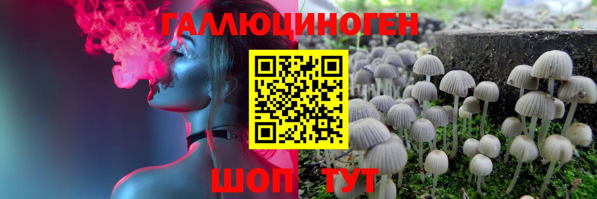 Славгород  Псилоцибиновые грибы ЛСД  закладка  Вход с VPN  Галлюциногенные грибы Cubensis 